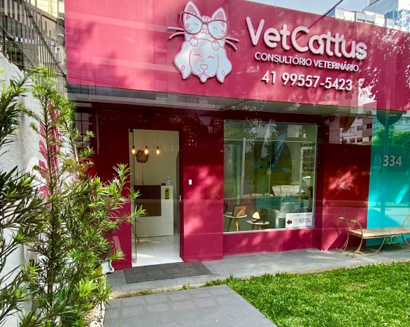 vetcattus-consultorio-2